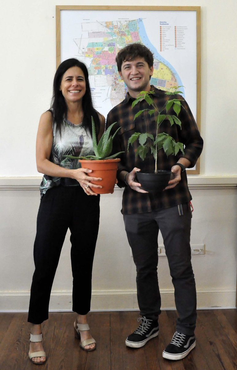 Hoy Teo se llevó un lapacho bebé que cuidé con mucho amor,  ahora le toca a él. Con el mismo amor me regaló una planta que era de su abuela. ¡¡Lo amé!! 
¡Gracias TEO!! ❤️