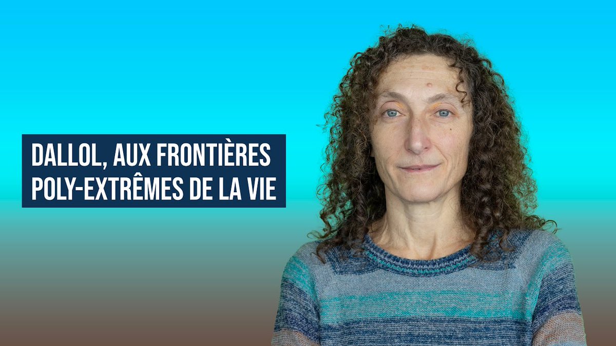 Laurence Honnorat (@lhonnorat) on Twitter photo DALLOL AUX FRONTIÈRES POLY-EXTRÊMES DE LA VIE par Purificación López-García <a href="/DEEMteam_Orsay/">DEEM team Orsay</a> 🎬youtu.be/PdD4kl2g0Xc DALLOL AUX FRONTIÈRES POLY-EXTRÊMES DE LA VIE par Purificación López-García <a href="/DEEMteam_Orsay/">DEEM team Orsay</a> 🎬youtu.be/PdD4kl2g0Xc