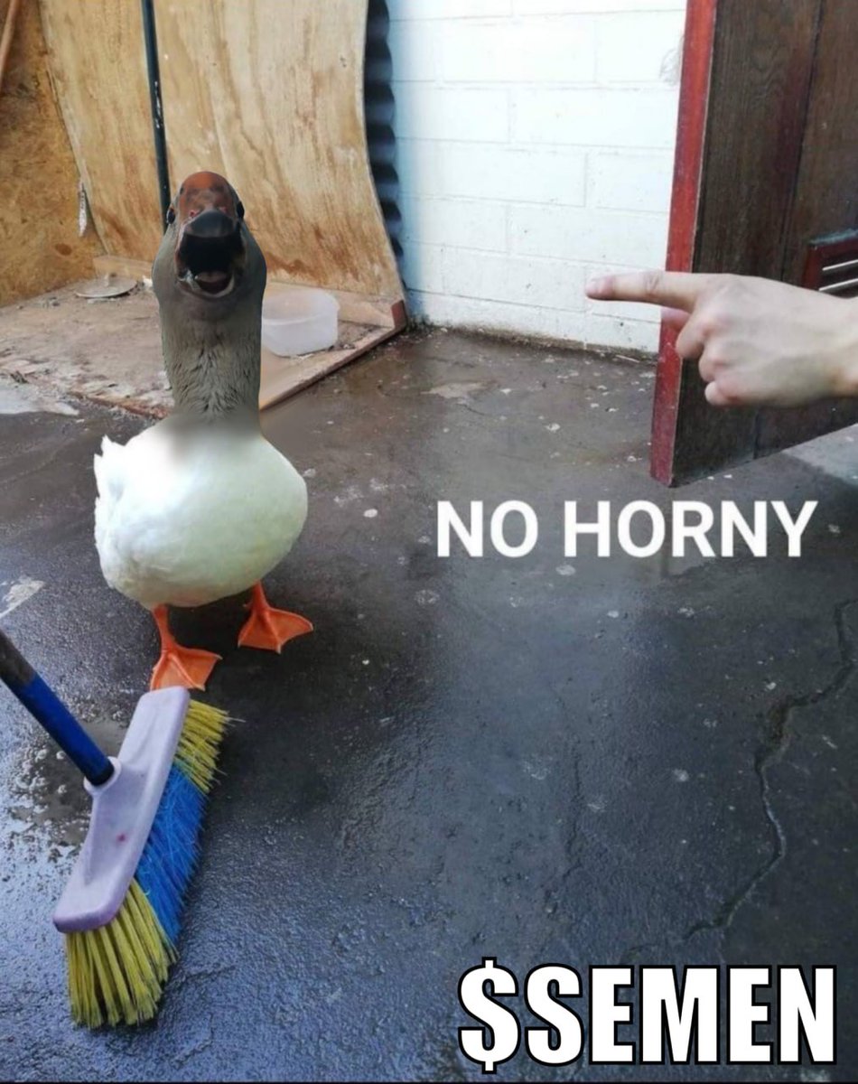 The Most Viral Goose On TikTok | SEMEN tweet media