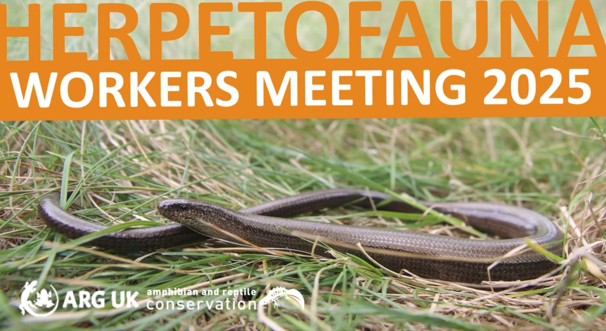 NHBS colleagues Guy and Dan are looking forward to attending the 2025 Herp Worker's Meeting in Sheffield this weekend!

Are you attending this year's conference? If so, please come and say hello to us!

#herpetofaunaworkersmeeting #reptiles #amphibians #conference