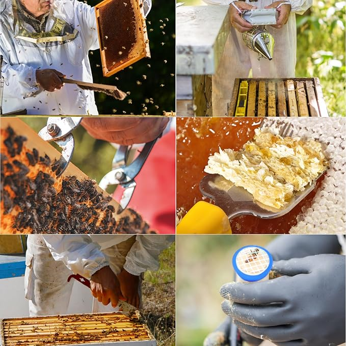 beesforest1's tweet image. beesforest.com/product/12-pcs…

Start Your Beekeeping Season Right!
12 PCS Starter Kit for all levels:
✔️ Bee smoker + tools
✔️ Durable &amp;amp; bee-friendly
✔️ Organizer bag included
Only $59.95 🛒
👉 Perfect for beginners &amp;amp; pros!
#BeekeepingEssentials #BeeSmoker #BeekeepingLife