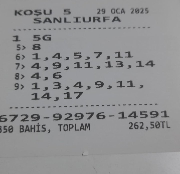 Burhanettin Çiçek (@bcicek98716) on Twitter photo 