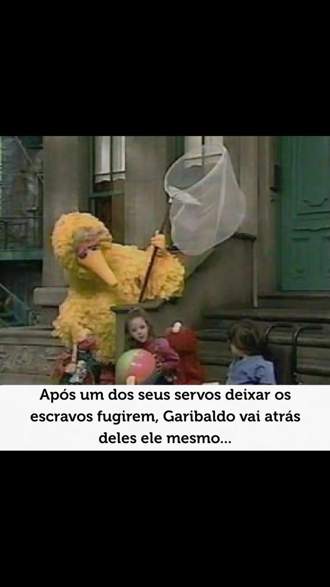 GARIBALDO tweet media