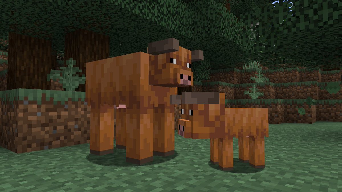 Axolotl 𝕏 tweet media