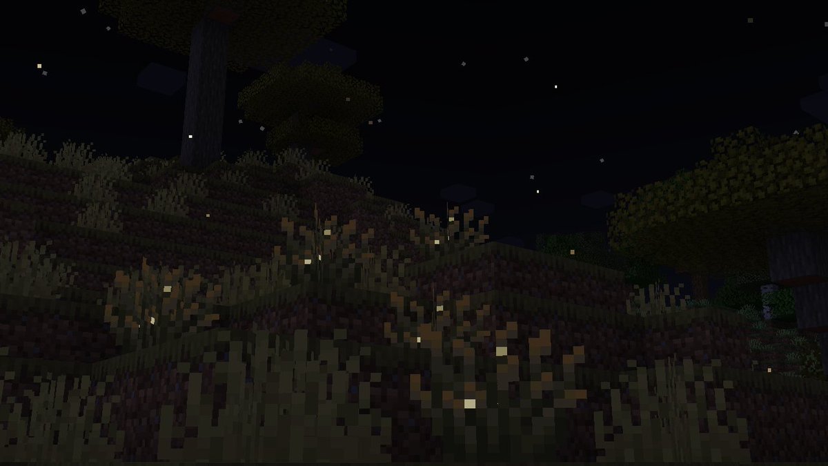 Axolotl 𝕏 tweet media