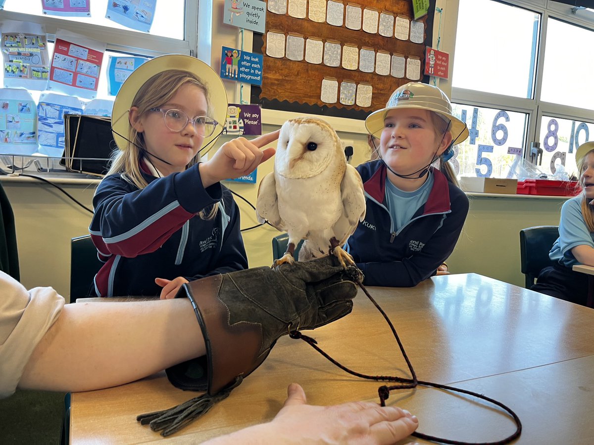 Great to welcome Allan from Wee Critters back to P5, to talk about desert animals. Always extremely engaging and informative. <a href="/WeeCrittersNI/">Wee Critters</a>