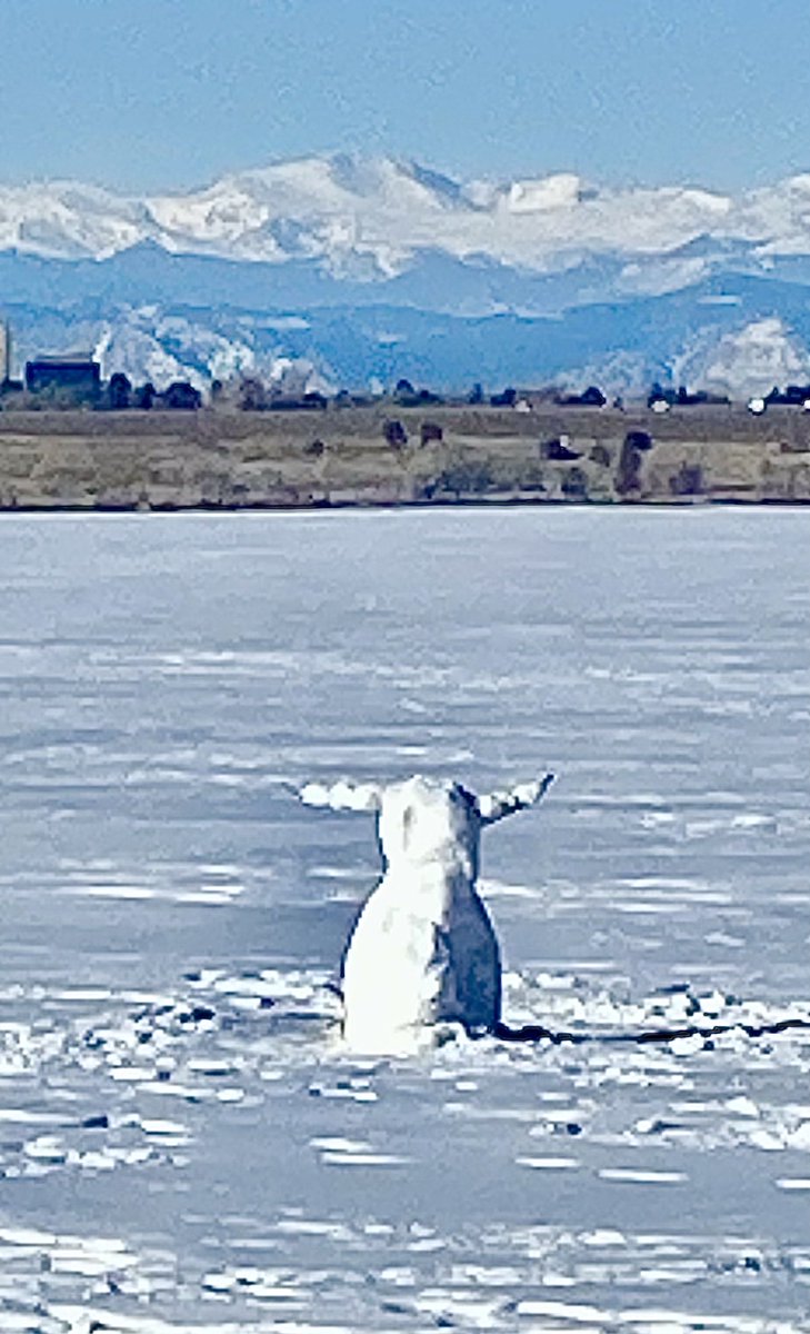 ⁦<a href="/BelenNBCLA/">Belen De Leon</a>⁩ ⁦<a href="/BianchiWeather/">Chris Bianchi</a>⁩ ⁦<a href="/chris_tomer/">Chris Tomer</a>⁩ ⁦<a href="/crystalegger/">Crystal Egger</a>⁩ ⁦⁦<a href="/CReppWx/">Cory Reppenhagen</a>⁩ ⁦<a href="/theWXwoman/">Danielle Grant</a>⁩ ⁦<a href="/KylieBearseWX/">Kylie Bearse</a>⁩ ⁦<a href="/LaurenCBS4/">Lauren Whitney</a>⁩ ⁦<a href="/MattMakens/">Matt Makens, Makens Weather</a>⁩ Apparently, Frosty found a very inexperienced barber recently, at Cherry Creek Reservoir!