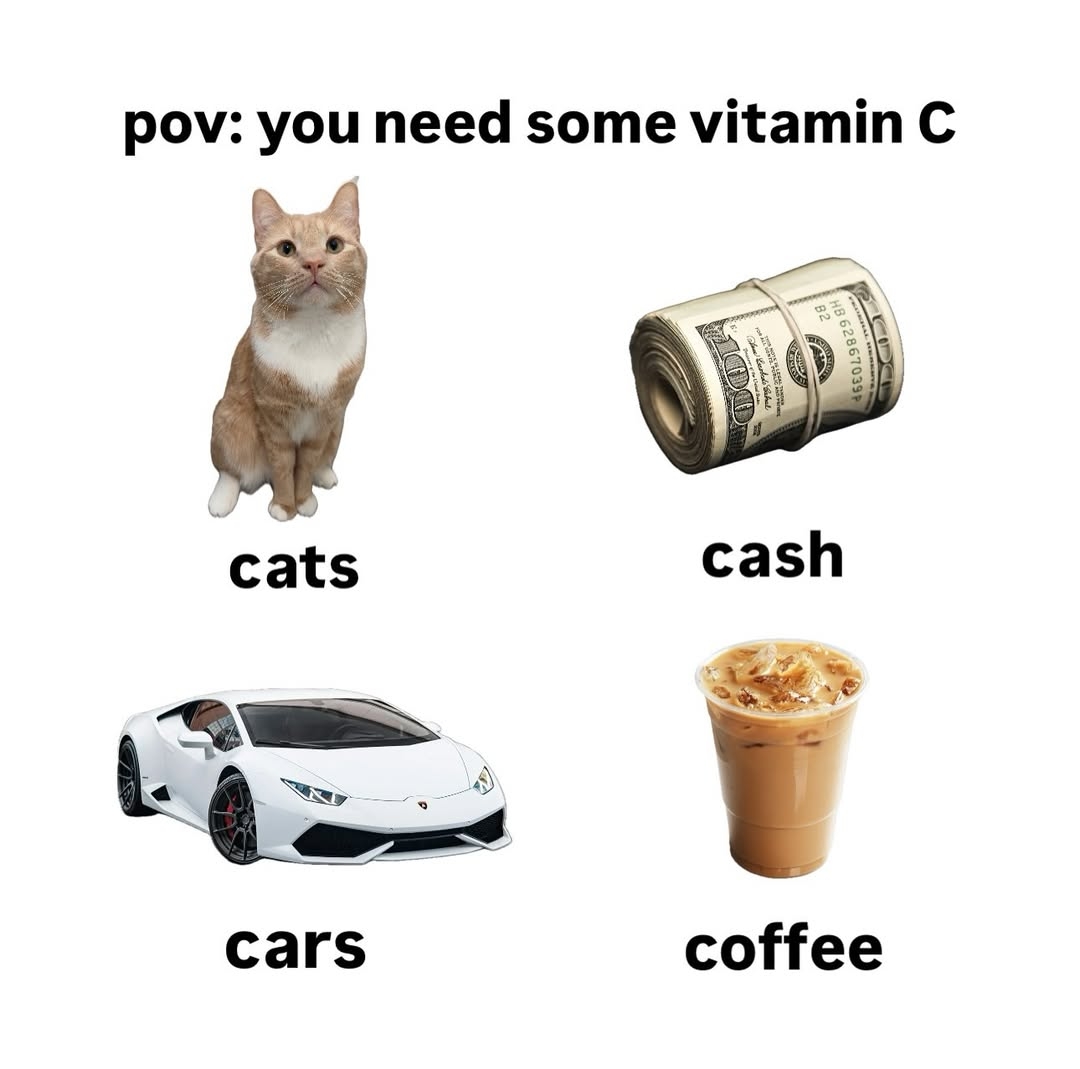 WeAssessCats's tweet photo. all the necessities😌 https://t.co/t7vaVKIAE5