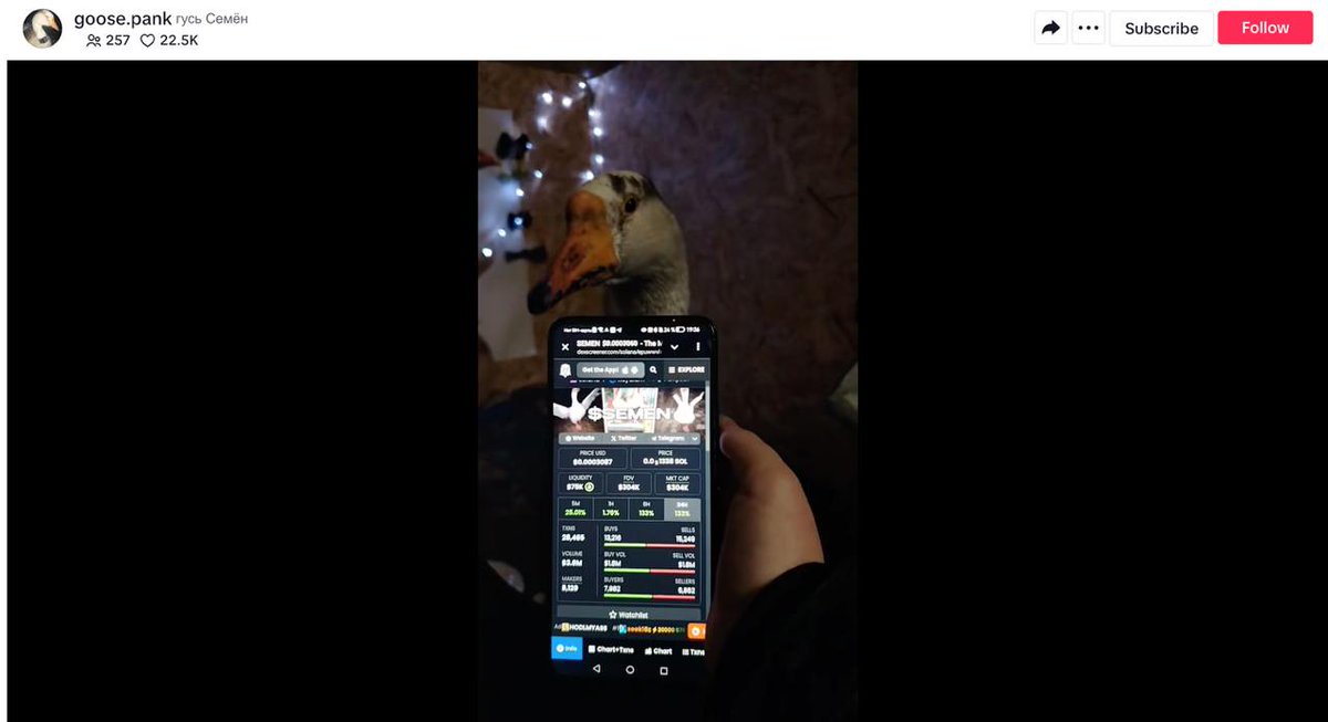 The Most Viral Goose On TikTok | SEMEN tweet media