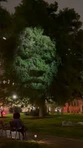 — the trees carry your face —
tonight, the trees wear your face—
bark turned bone, leaves turned whispers,
a thousand unmarked tongues singing
what the earth refused to forget.

who taught the ground to hold its breath?
who taught history to bite its own tongue?
you, who danced