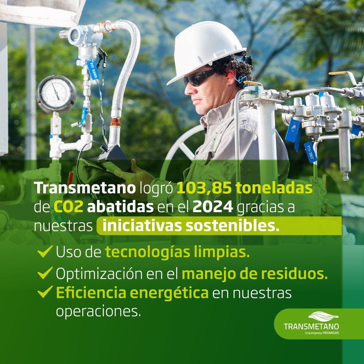 Transmetano tweet media