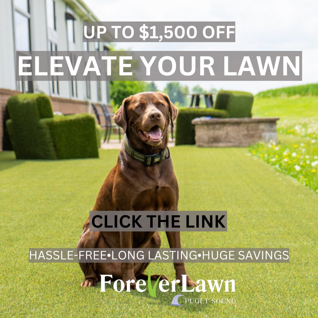 Find out more about K9 grass by clicking Learn More. Our product is endorsed by Caesar Millan and for a limited time offer you can get up to $1,500 off your project.

Click below to get in contact:
foreverlawnps.com/contact