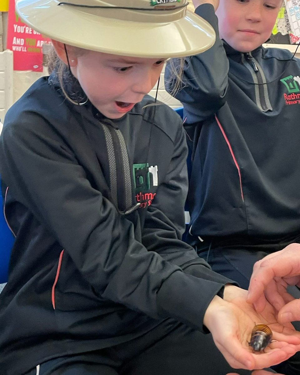 Rathmore PS tweet media