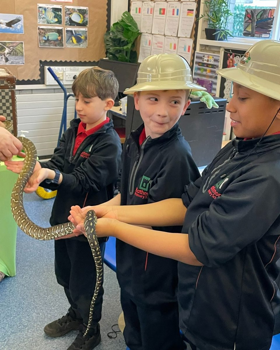All of our P5 classes enjoyed taking part in the interactive learning session yesterday, led by ⁦<a href="/WeeCrittersNI/">Wee Critters</a>⁩ . So much fun! 🐍😃