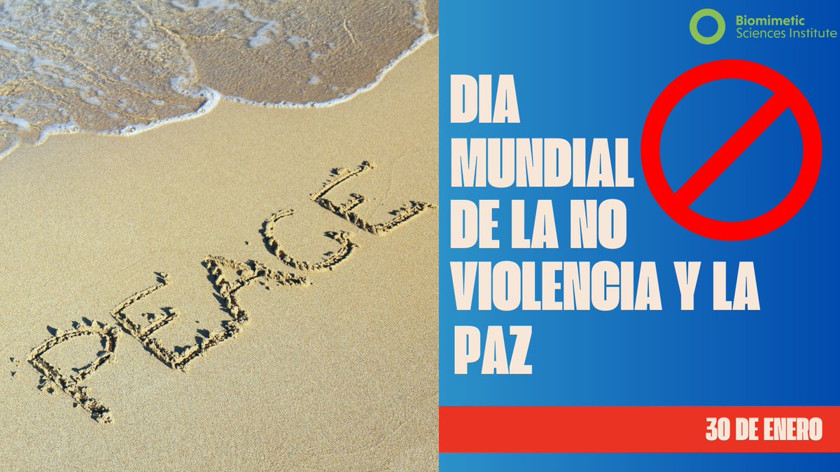 Biomimetic Sciences Institute tweet media