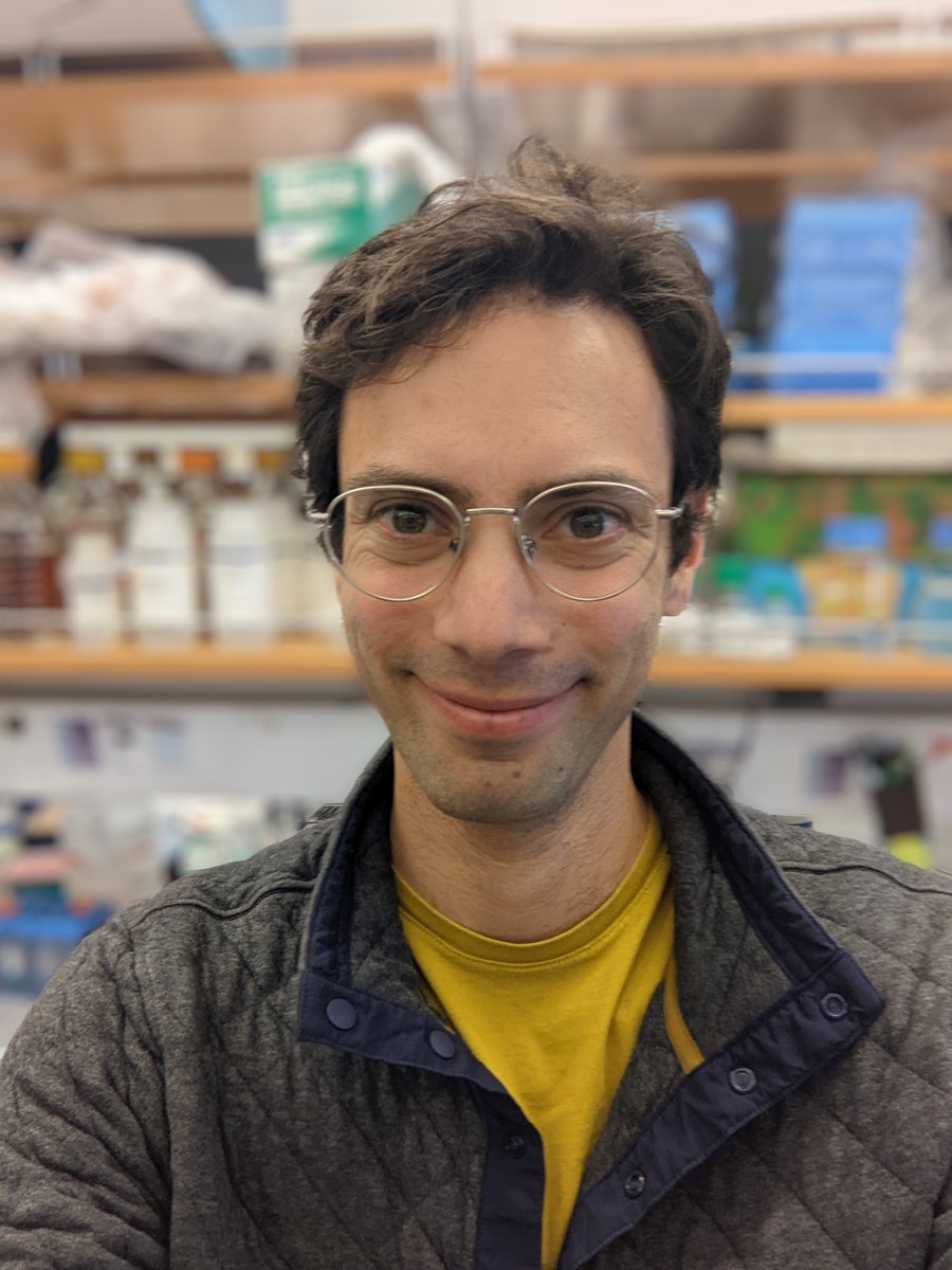 VSPAProgramUCB's tweet image. Dr. Timothy Jonas Eisen is a postdoctoral scholar at the UC Berkeley Department of Molecular and Cell Biology whose research aims to map protein structure in cells. Read more of his story here: vspa.berkeley.edu/news/postdoc-s…