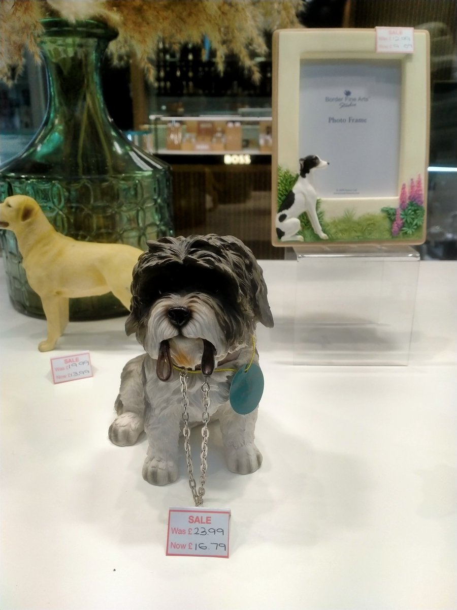 "How much is that Doggie in the window." Made me laugh when I spotted this fellow in the window. Haven't a clue why? <a href="/soult/">Graham Soult FIPM</a> <a href="/annaturley/">Anna Turley MP</a> <a href="/JessieJoeJacobs/">Jessie Joe Jacobs</a> @Tees_Issues <a href="/easymarketingne/">Riverside Marketing Solutions</a> <a href="/SinghLions/">Harjinder Singh Kukreja</a> @nigel_guisboro <a href="/Number10cat/">Larry the Cat</a> <a href="/LeadToday/">Steve Keating</a> <a href="/nondyed18/">❤️🤍💙🇬🇧 SJ_Len 🇬🇧❤️🤍💙</a> <a href="/woggastweet/">Davy Howe</a> <a href="/Tigerdoodle/">Queen of the Supermarket</a>