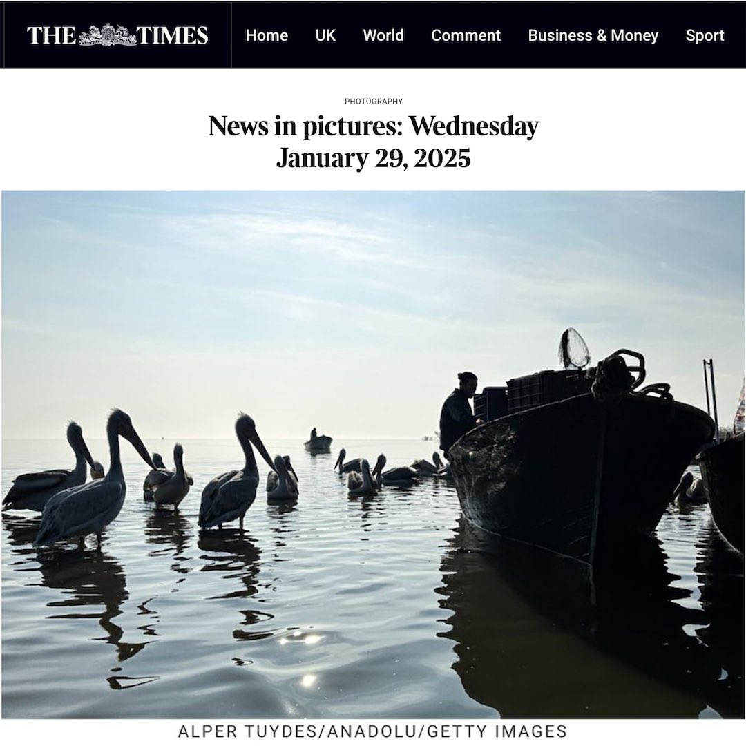 Balıkesir Bandırma’da çektiğim bu pelikan ve balıkçılar fotoğrafım bugün The Times’ta yayınlandı. Bu fotoğrafı cep telefonu ile çekmiştim.