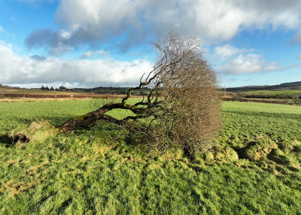 Martin McKenna (Nightskyhunter) tweet media