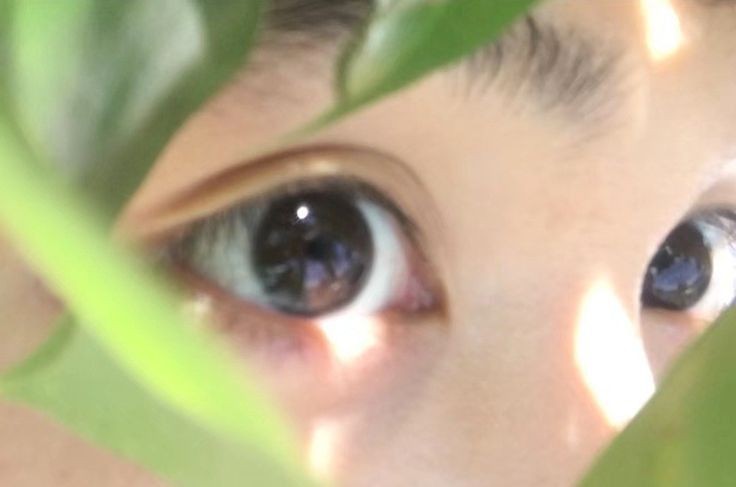 SecretSheva's tweet image. #Luckity #LuckityAu #LUCKITYAU

"En todos los universos, Spiderman se enamora de Gwen Stacy... y en todos los universos, eso no termina bien." ˎˊ˗