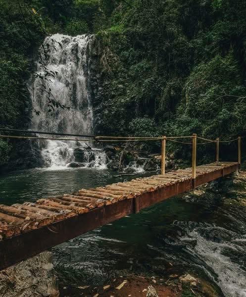 OscarP_H's tweet photo. CASCADAS DOS MUNDOS, UN PARAÍSO NATURAL EN ACAXOCHITLÁN 🌳
💧 Siete impresionantes caídas de agua, un espectáculo que te dejará sin palabras https://t.co/qEBykO9fxX