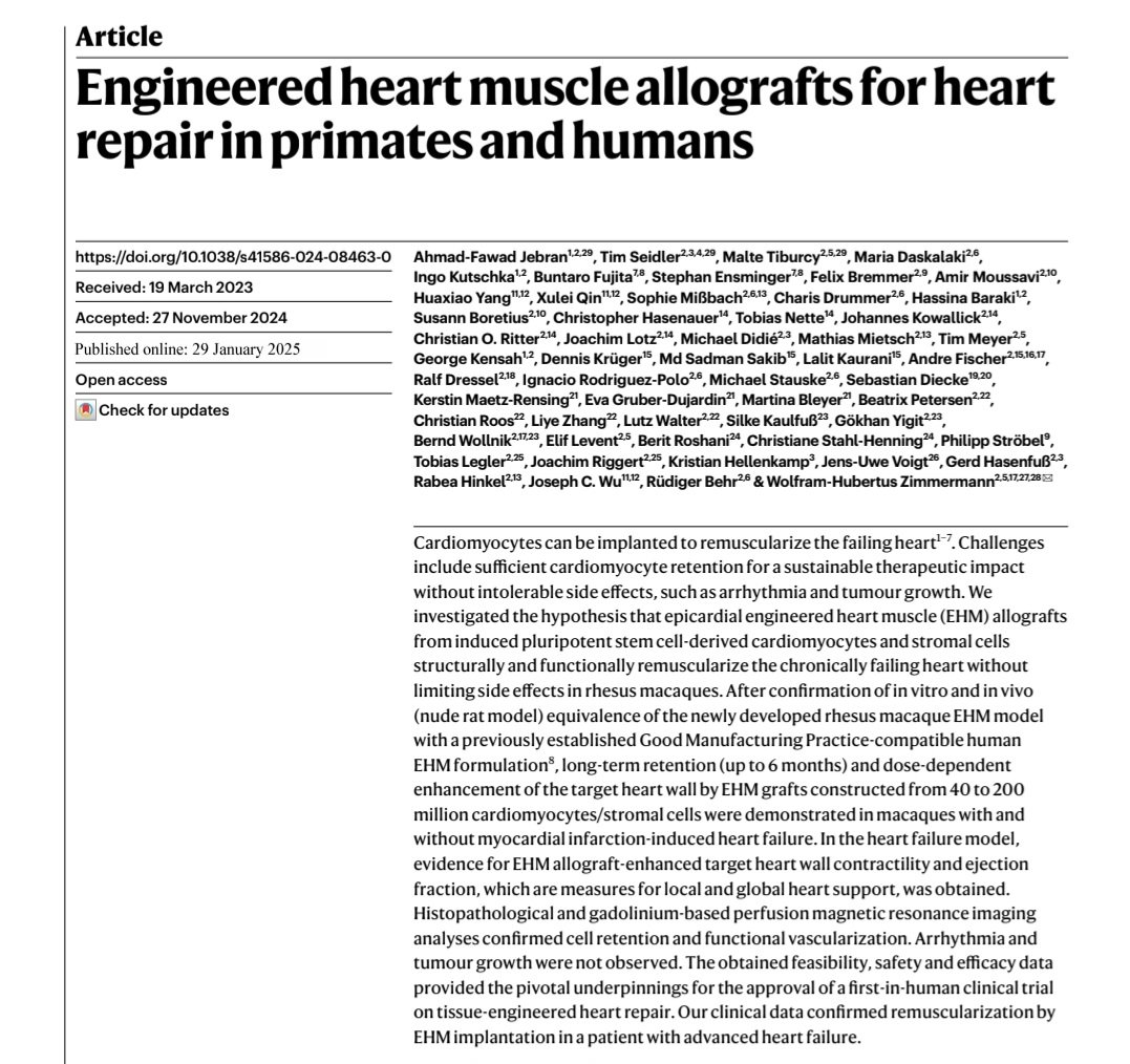 Malte Tiburcy tweet media