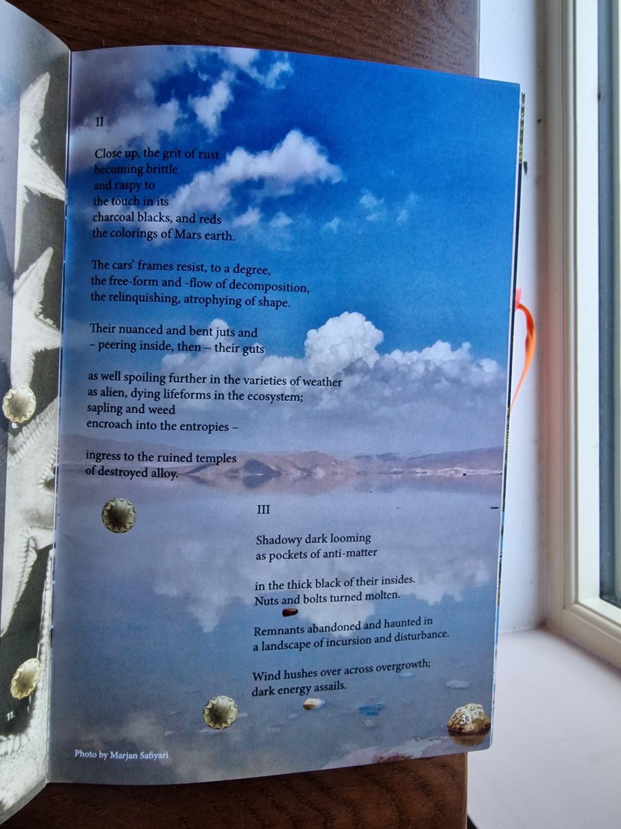 Peter Donnelly tweet media