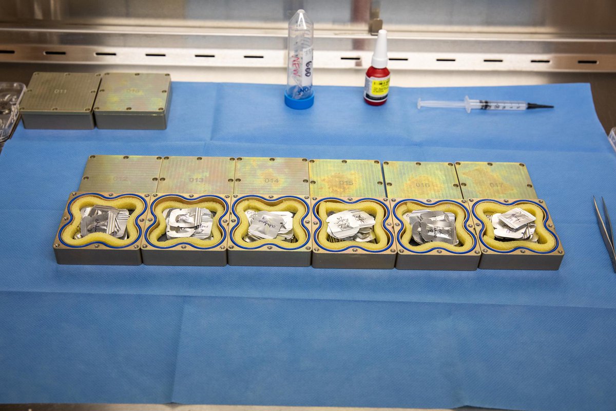 astrobiology's tweet photo. Simulated Deep Space Exposure on Seeds Utilizing the MISSE Flight Facility
https://t.co/B5xmCzWSQK #astrobiology #microgravity #spaceag #spacebiology https://t.co/fmjda3sNT9