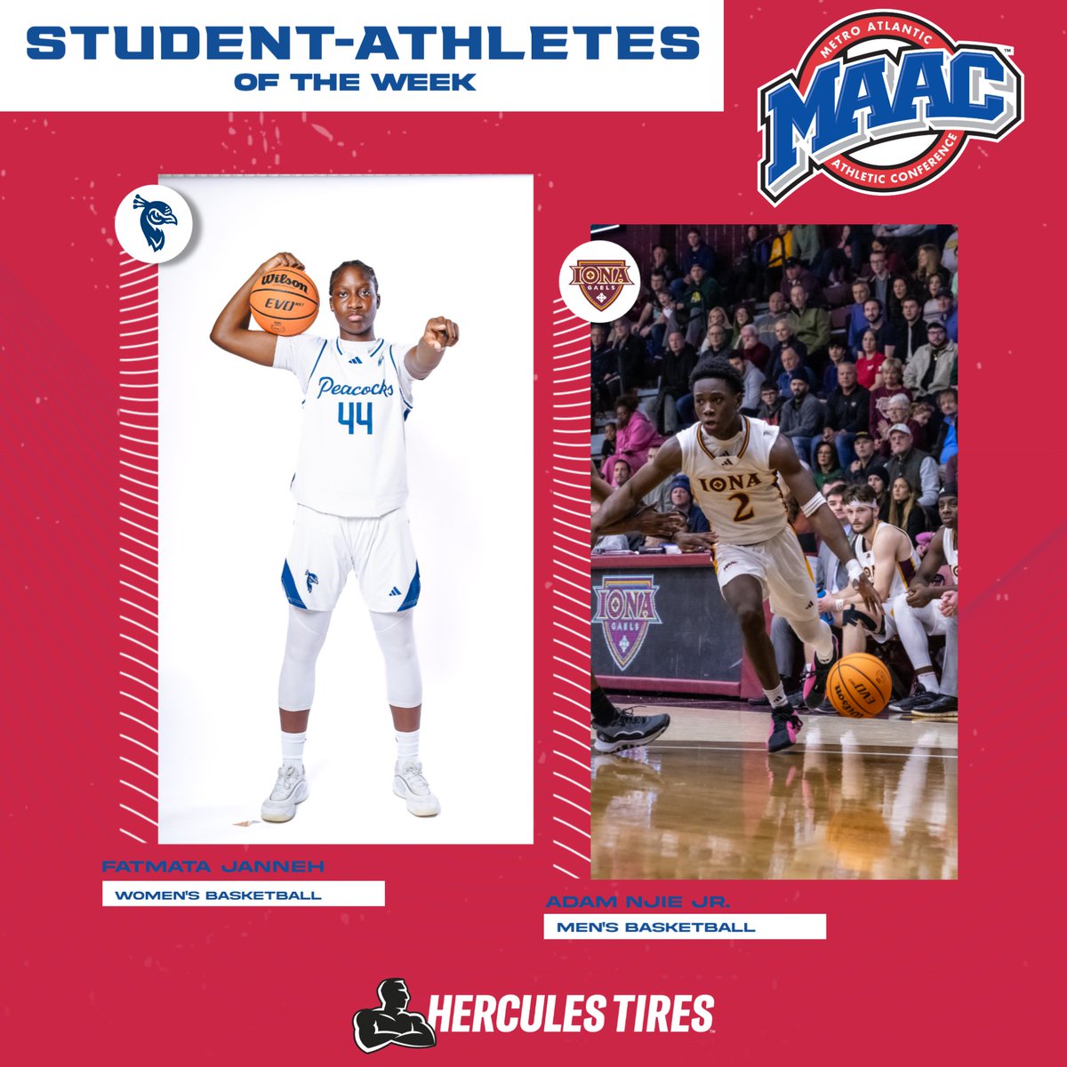 #MAACSports (@maacsports) on Twitter photo Congrats to this week's <a href="/HerculesTires/">Hercules Tires</a> MAAC Student-Athletes of the Week!
Fatmata Janneh, <a href="/PeacocksWBB/">Saint Peter's Women's Basketball</a>
Adam Njie Jr., <a href="/IonaGaelsMBB/">Iona Men’s Basketball</a>
📰: bit.ly/42AnFhC
#MAACSports Congrats to this week's <a href="/HerculesTires/">Hercules Tires</a> MAAC Student-Athletes of the Week!
Fatmata Janneh, <a href="/PeacocksWBB/">Saint Peter's Women's Basketball</a>
Adam Njie Jr., <a href="/IonaGaelsMBB/">Iona Men’s Basketball</a>
📰: bit.ly/42AnFhC
#MAACSports