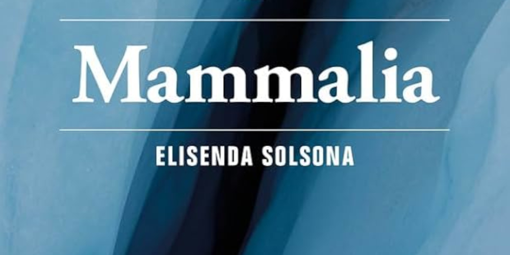📢 ATENCIÓ: a #Abrera continuem amb el “Llegim-les! Club de lectura amb les autores”

Aquest 31 de gener tindrem a l'Elisenda Solsona comentant Mammalia , i amb la conducció de la Laia Santís

ℹ️ : omnium.cat/ca/activitat/c…

Participa!