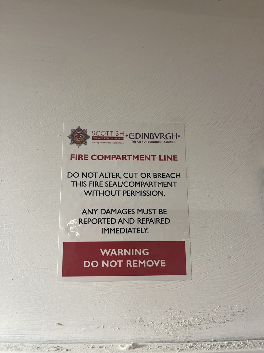 David Morrison tweet media