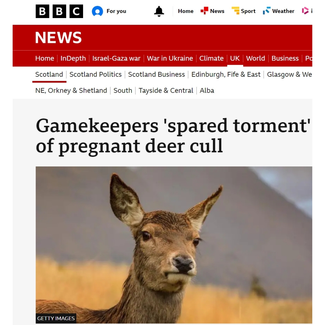 BASC Scotland tweet media