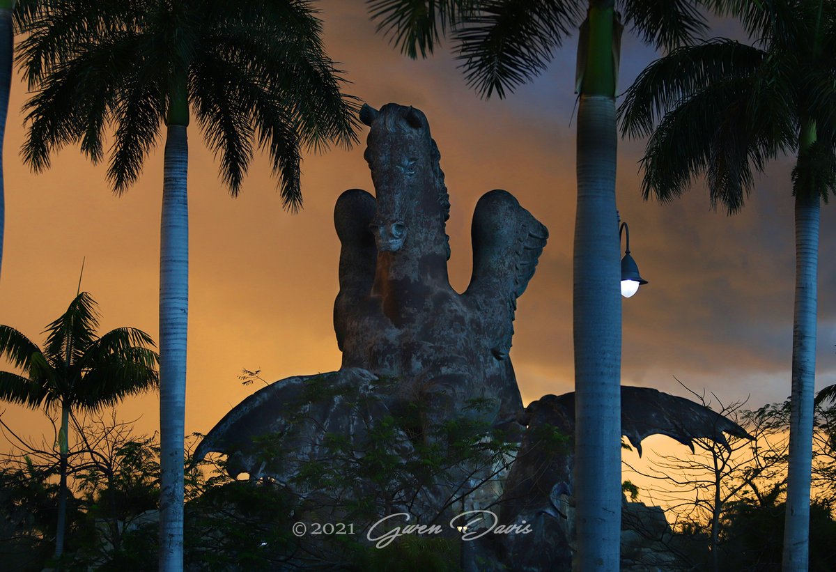 If you care about our industry, please sign our petition opposing Florida HB 105 (would allow FL tbred tracks to have casino gaming w/o live horse racing). Petition now reflects this issue has national implications (hence all the out-of-state signatures)
mstr.app/08403081-5622-…