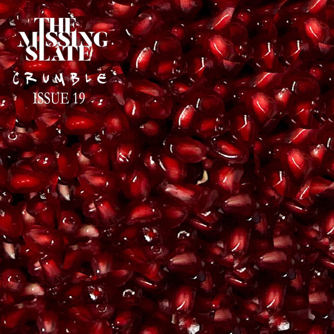 Stay tuned for The Missing Slate – Issue 1 forthcoming January 2025. 
Keep an eye out at: themissingslate.com