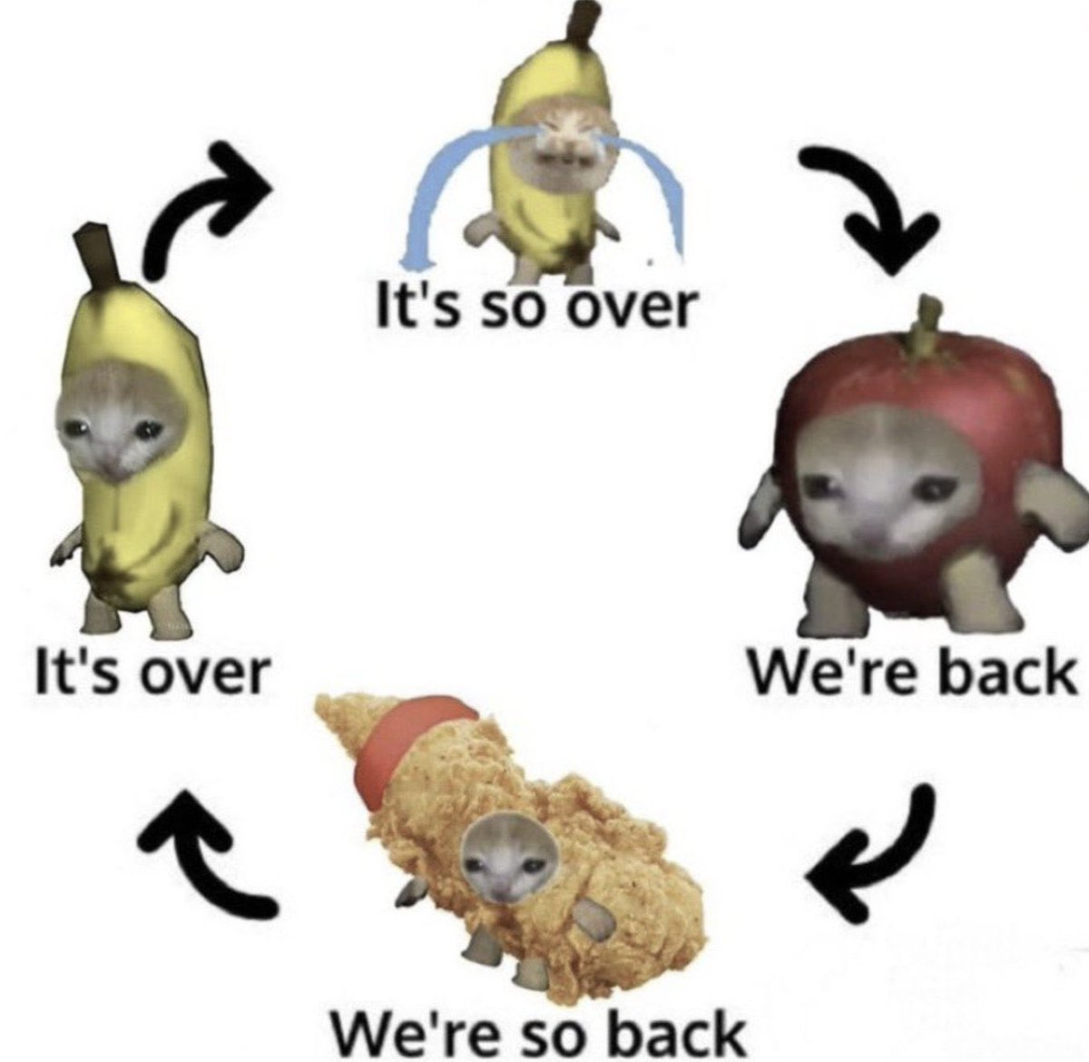 me 🪲 tweet media