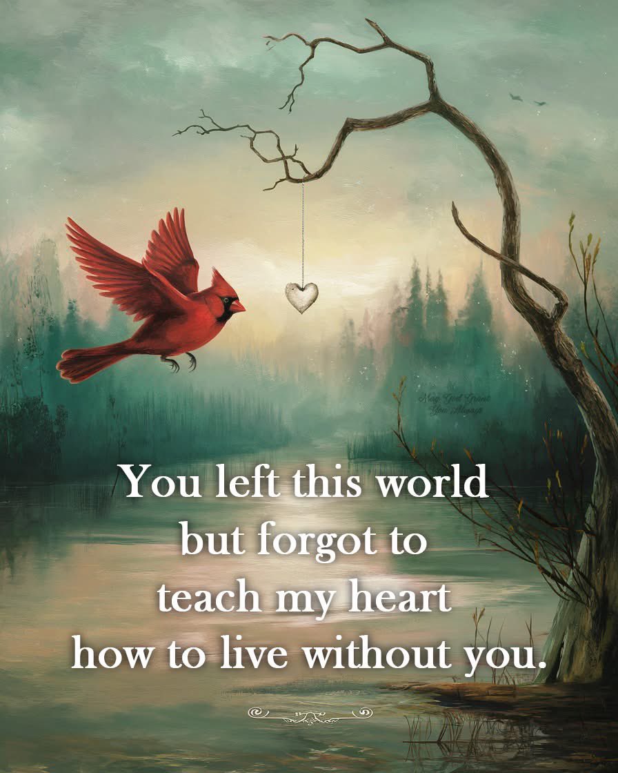 susan  wallace (@suewallacecom) on Twitter photo 