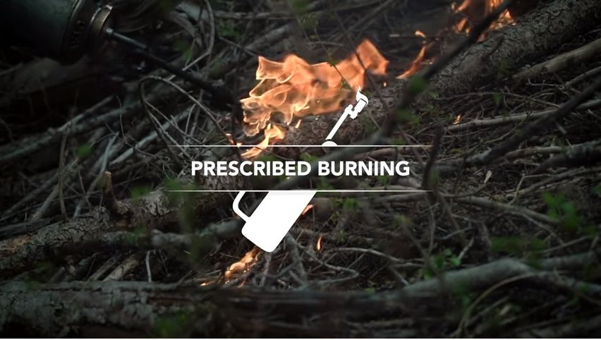 The Dolores District of the #SanJuanNF will be burning piles today, January 29, on Haycamp Mesa. 750 Ponderosa pine and Gambel oak slash piles will be burned in a timber contract area along Forest Service Roads 556, 556.D, and 492.

Smoke may be visible from Highway 184 and 145.