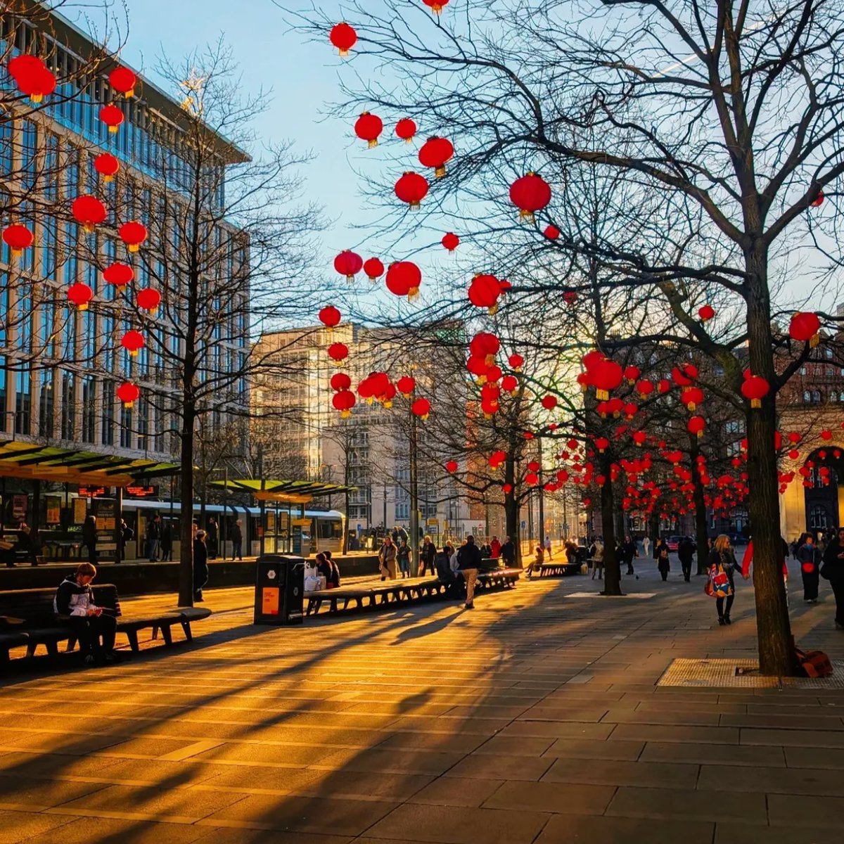 Sunlight and Lanterns: A magical combination...⁠
⁠
Manchester has done it again with some outstanding decorations. Happy Chinese New Year! 🐍 #AffinityLiving⁠
⁠
📸 (IG) remje93