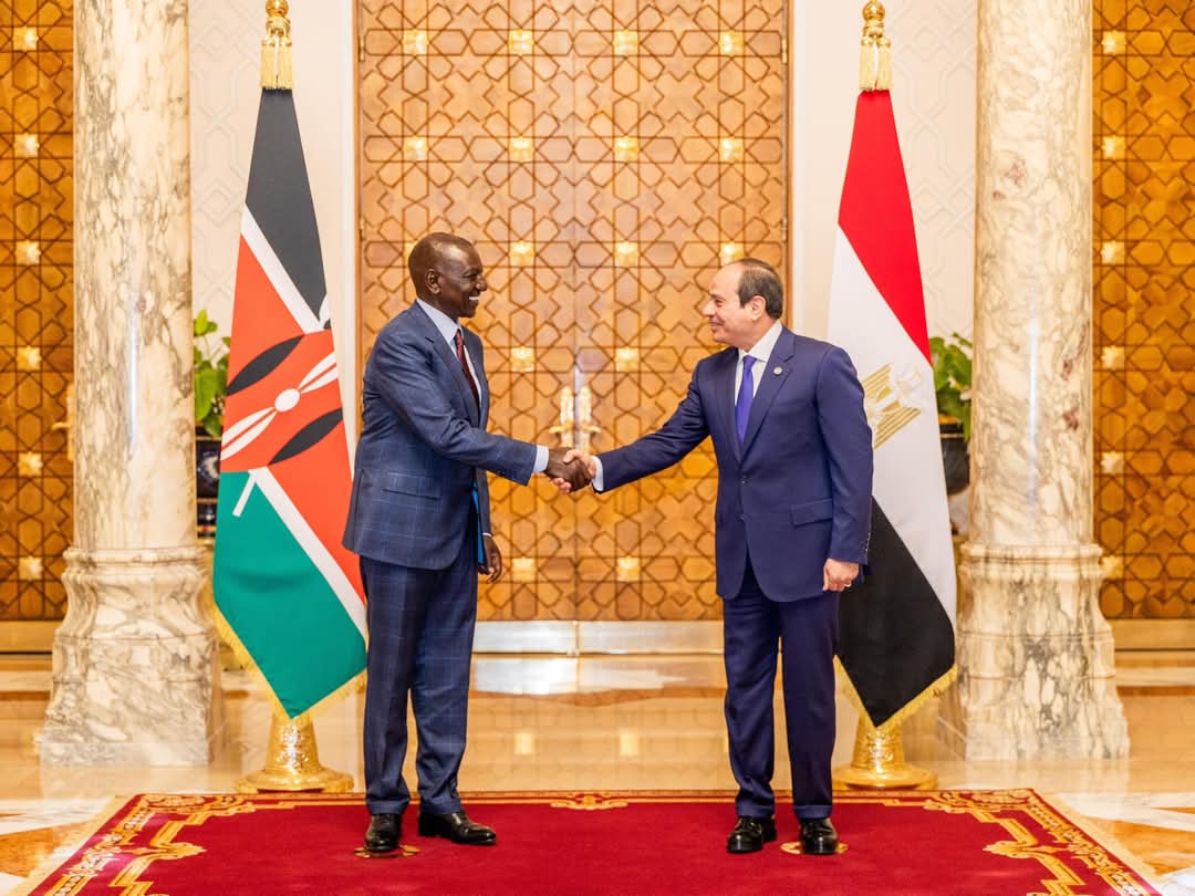 The signing of a Joint Declaration for a Strategic and Comprehensive Partnership between Kenya and Egypt is good news, as it will strengthen and enhance engagements in various fields, including the tea sector.

Egypt is one of the largest importers of Kenyan tea. Since tea is a