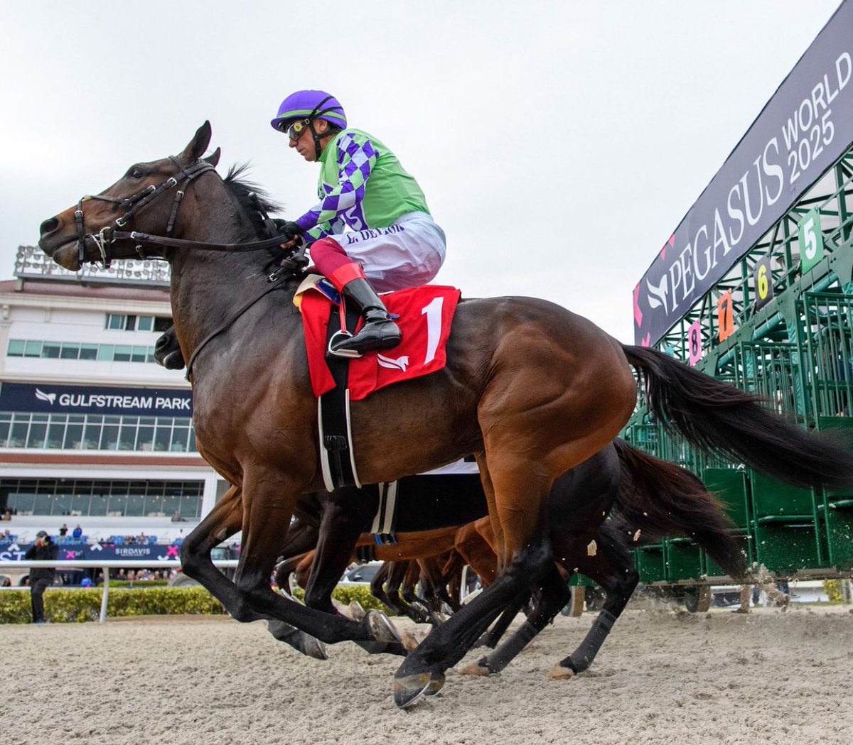 alett15's tweet photo. 🏇 HOLY BULL STAKES G3…!!!
Este sábado en @GulfstreamPark 
• Distancia: 1700 mts.
• Premio: $265,000
• Total Inscritos: 7
#1 Kinetic Control
#2 Ferocious
#3 Tappan Street
#4 Guns Loaded
#5 He’s Not Joking
#6 Buming Glory
#7 Bumham Square https://t.co/MWDoOH7zOS