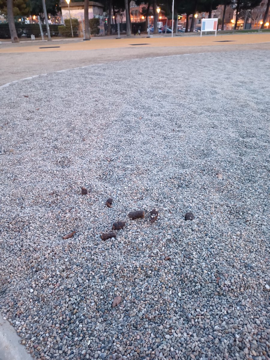 A poc dies d'inauguració del parc infantil ens estem trobant ja la manca de civisme de molts usuaris se gossos.
Alcalde <a href="/Albiol_XG/">Xavier García Albiol</a> <a href="/daniel_gracia/">Daniel Gracia</a> <a href="/davidmejiayra/">David Mejía Ayra</a>, es podria fer quelcom?