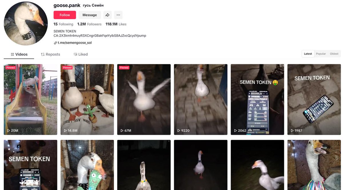 The Most Viral Goose On TikTok | SEMEN tweet media