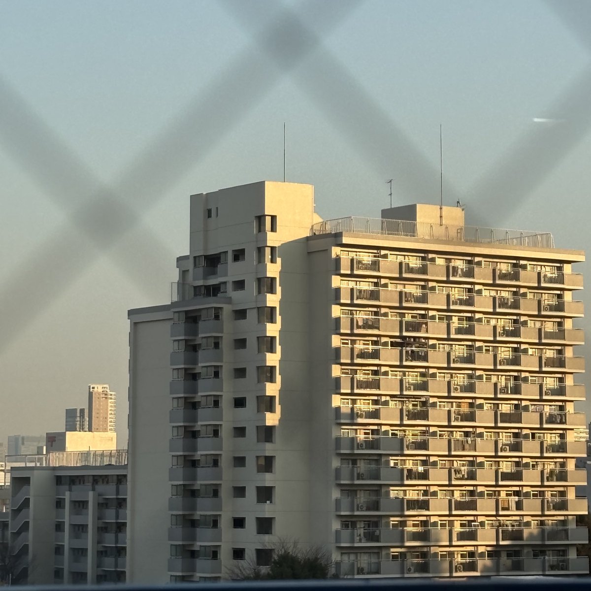 泡立タオル tweet media