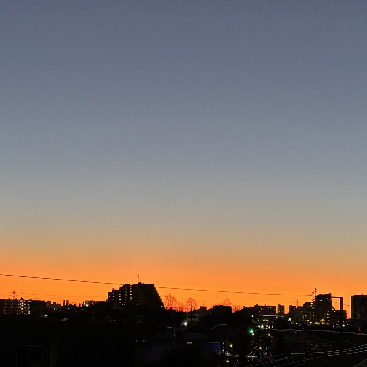 泡立タオル tweet media