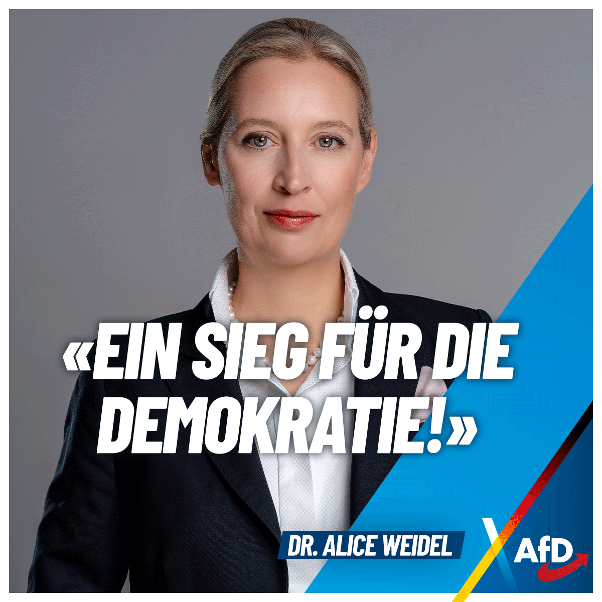 Alice Weidel tweet media