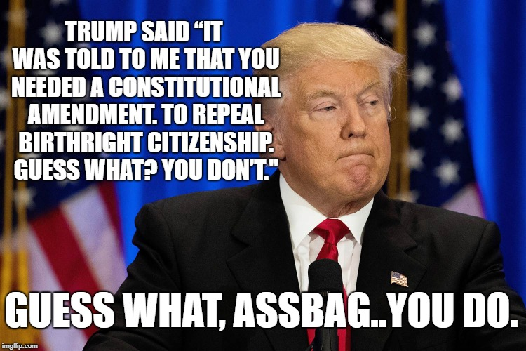 Donald Trump is an ignorant, uneducated, unqualified ass-bag of a president who doesn't know a damn thing about the Constitution! He thinks he can repeal a Constitutional amendment without Congress! He's an fucking idiot! He's not my president!  Is he yours?  Yes or No?
