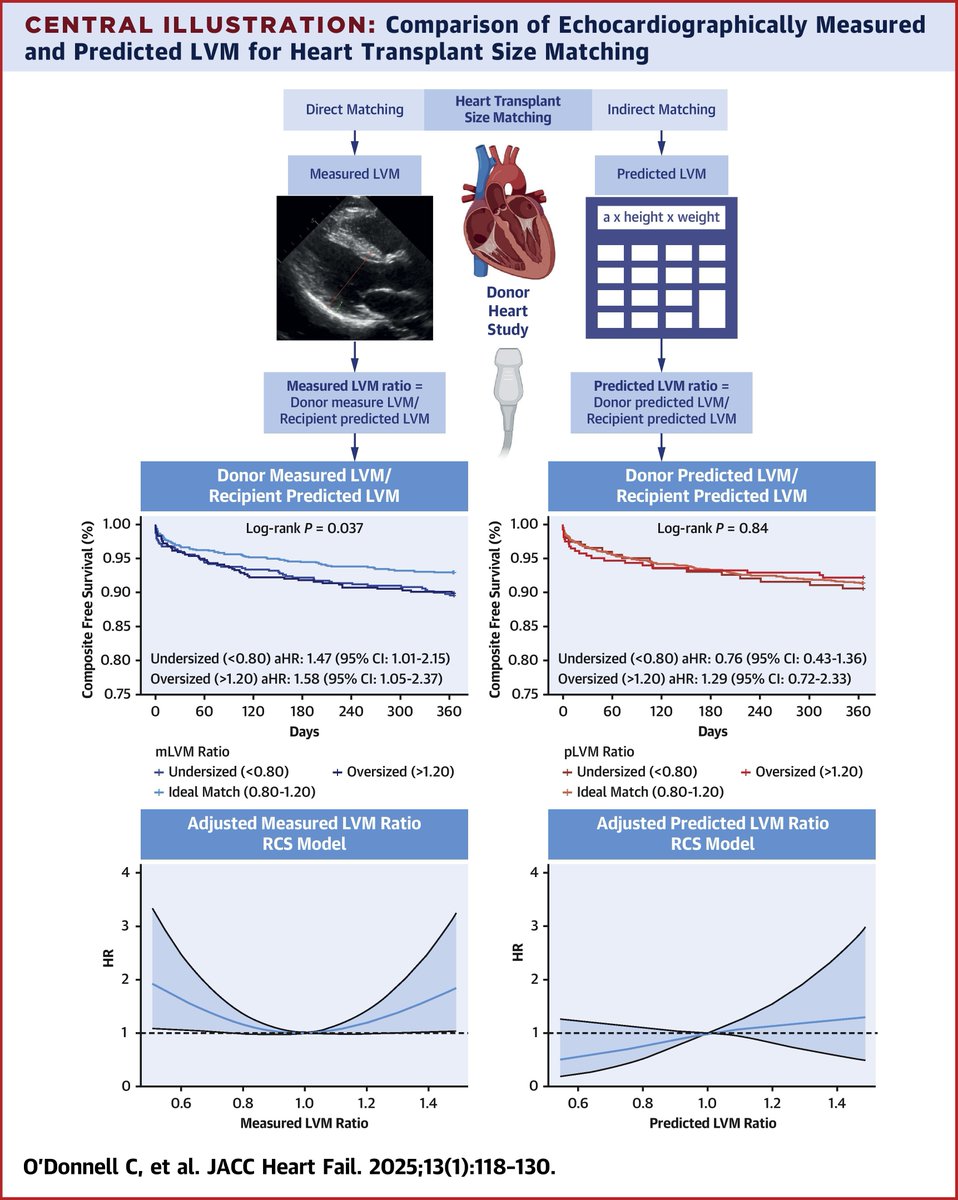 JACCJournals's tweet image. Measuring donor LVM with the use of #cvEcho may provide a more accurate method for donor-recipient heart size matching that could improve heart transplant outcomes, especially in obese recipients 💡  jacc.org/doi/10.1016/j.…

#JACCHF #Hearttx #echofirst