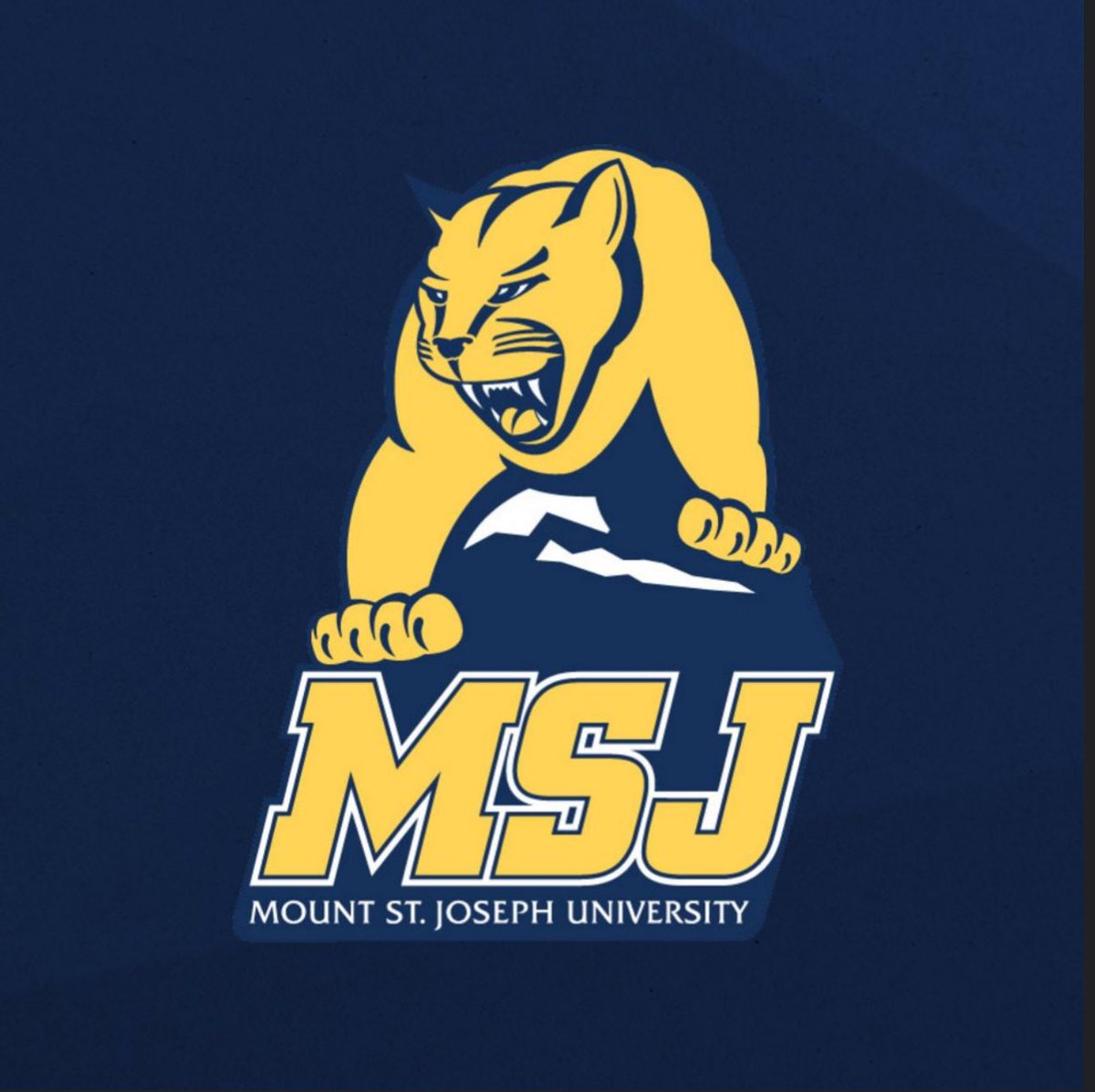 ClemisJimmie's tweet image. Mount St Joseph Offered!
@Nate_D11
@CoachCreel
@EUCPanthers
@EUCFOOTBALL