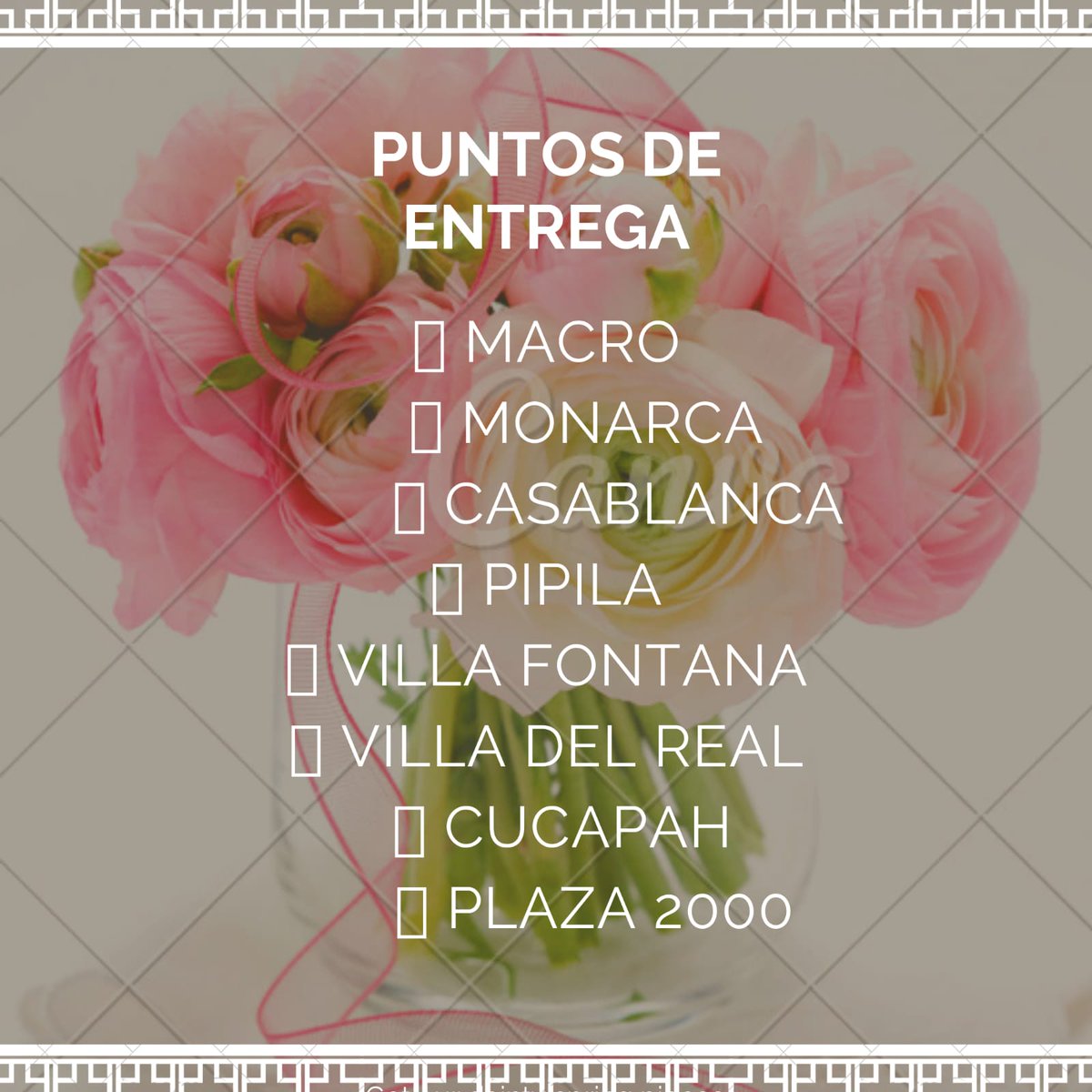 JcrosasG's tweet photo. Buenos dias Ya tenemos mas variedad 🙏⚠️
🌿✨ ¡Patitas de Gatito a la venta! ✨🌿
Hermosas, fácil de cuidar y perfecta para decorar tu espacio. 💚🐾

$ 50 Pesitos patita chica 🐱🐾
$ 200 Pesitos Patita Jumbo 🙏🐱🐾
📍 Entregas por tu zona 🐾
Mandame mensaje y Aparta la tuya! 📩 https://t.co/n26y1GTBhQ