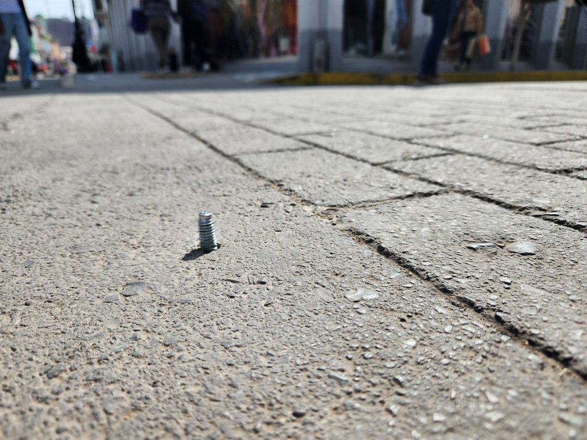 Cher Ami Zapata tweet media